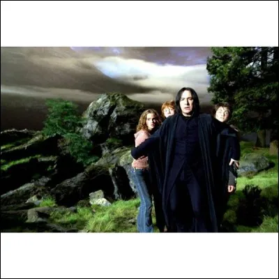 Grâce à quoi peuvent-ils retourner dans le temps ?