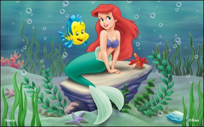 Comment l'animal d'Ariel s'appelle-t-il ?