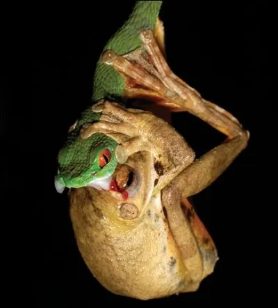 Trouvez la bonne expression !