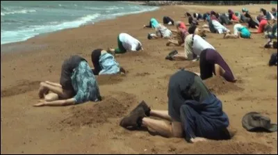 Expression d'actualité !