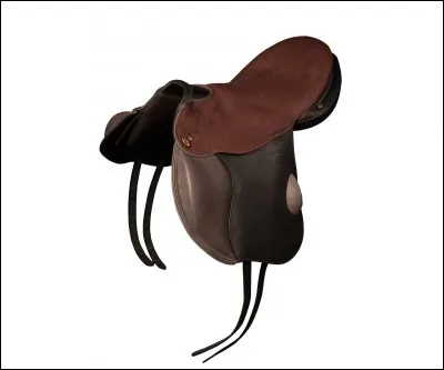 Quelles selles existent vraiment ?