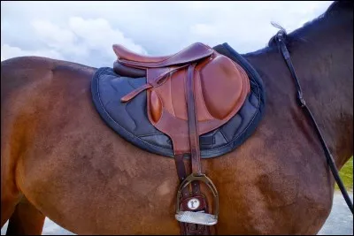 Quelles parties ne font pas partie de la selle ?