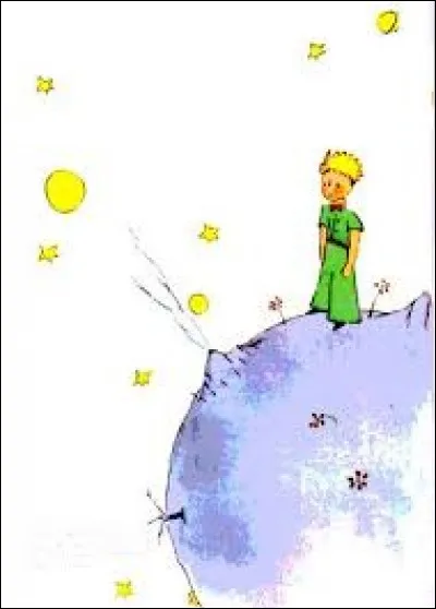 Le Petit Prince conaissait tout des songes de Saint-Ex.