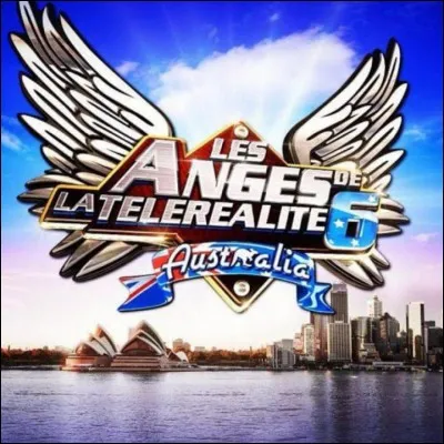 Avec qui Amélie formait-elle le trio pendant la saison 6 de l'émission "Les Anges" ?