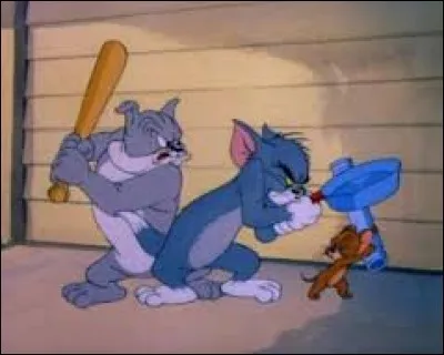 Dans "Tom et Jerry", qui est Tom ?