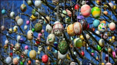 Quelle est la "fleur de Pâques" ?