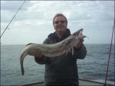 Quelle espèce de poisson est parfois nommée Julienne ?
