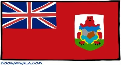 Ce drapeau est celui :