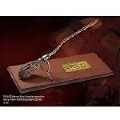 Comment s'appelle le premier balai de Harry ?