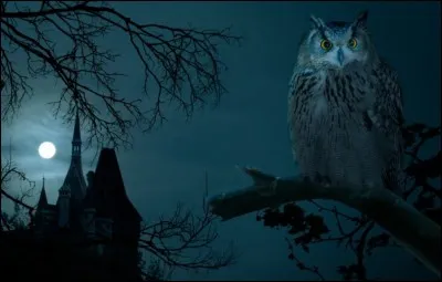 A quelle écrivaine américaine doit-on le roman policier "La maison au clair de lune" ?