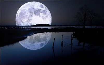 Qui chantait "Ce soir la lune est belle, et au creux des chemins, je sens l'herbe nouvelle...." ?