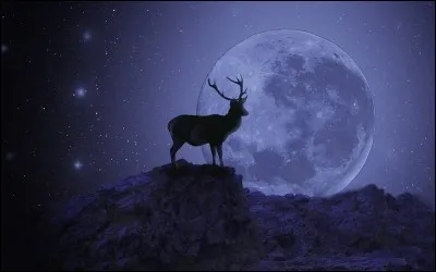 Quand la lunaison est-elle nommée "Lune rousse", redoutée par les jardiniers, car elle peut brûler les jeunes pousses ?