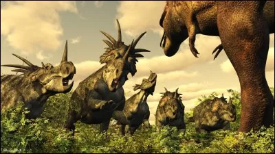 Quand vivait Styracosaurus ?Pr&eacute;cision avec &eacute;tage stratigraphique.