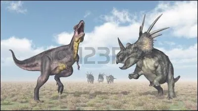 Quelle taille pouvait atteindre une corne nasale d&eacute;fensive de Styracosaurus ?