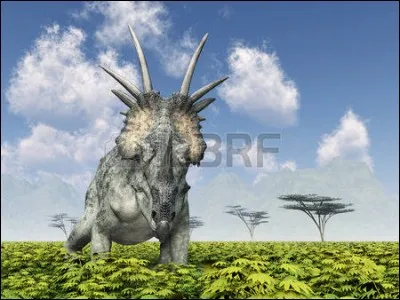 A quoi servait la multitude de piques qui arborait la collerette de Styracosaurus ?