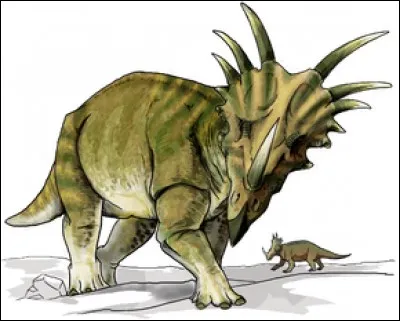 Quelle taille (longueur) pouvait atteindre Styracosaurus ?