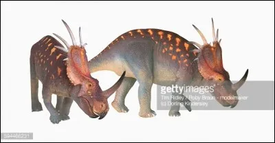 Les scientifiques pal&eacute;ontologues supposent que les dinosaures c&eacute;ratopsiens tels ces chasmosaurinae Styracosaurus pouvaient avoir des collerettes portant des couleurs vives.Pourquoi les collerettes de ces dinosaures &eacute;taient de couleurs si vives ?