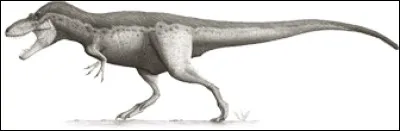 Il a &eacute;t&eacute; d&eacute;couvert par :