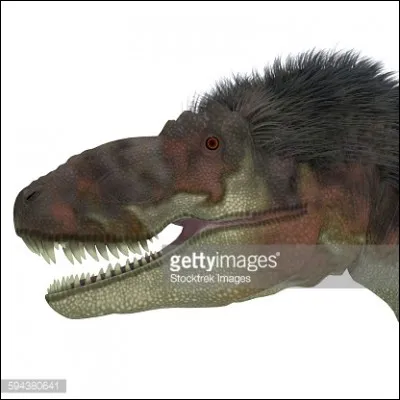 Quelle longueur atteignait Daspletosaurus torosus ?