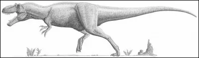 Quelle hauteur atteignait Daspletosaurus torosus ? (au garrot)