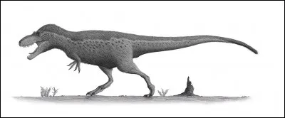 Daspletosaurus &eacute;tait l&eacute;ger par rapport &agrave; sa taille et aux mensurations de ses cong&eacute;n&egrave;res.