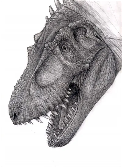 De quelle taille &eacute;tait estim&eacute; une dent de Daspletosaurus ?