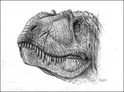 Quel est le sp&eacute;cimen de Daspletosaurus d&eacute;couvert le plus r&eacute;cemment ?