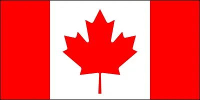 À quel pays correspond le drapeau ci-dessus ?