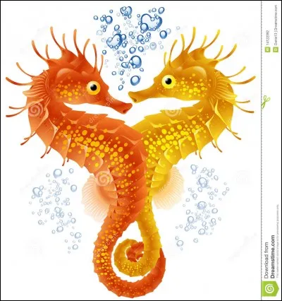 Quel est l'autre nom des hippocampes ?