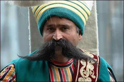 Le "turquin" était une couleur considérée comme la couleur favorite des turcs.