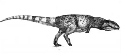 Quel est le poids estim&eacute; de Giganotosaurus ?