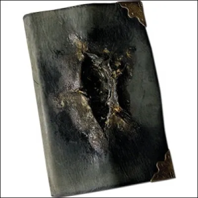 Dans "Harry Potter et la Chambre des secrets", qui est le propriétaire de ce journal ?