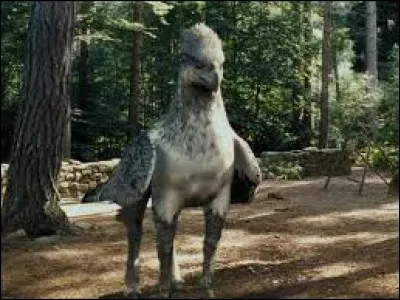 Dans "Harry Potter et le Prisonnier d'Azkaban", comment se nomme cet hippogriffe ?