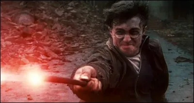 Dans "Harry Potter et les Reliques de la mort", quel sort utilise Harry pour vaincre Voldemort ?