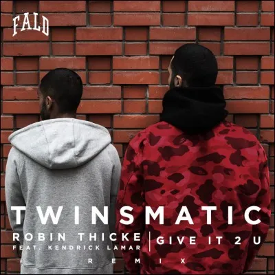 Quels sont les deux sons remixés par Twinsmatic dans l'album D.U.C ?