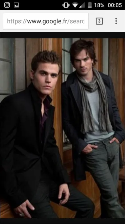 Quelle est la phrase que Damon dit à Stefan dans la saison 1 et 8 ?