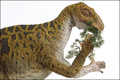 Quel(s) dinosaure(s) étai(en)t herbivore(s) ?