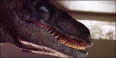 Quel(s) dinosaure(s) étai(en)t herbivore(s) ?