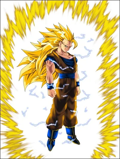 Quel est le nom de ce super Saiyan ?