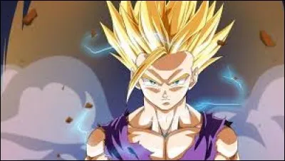 Quel est le nom de ce super Saiyan ?