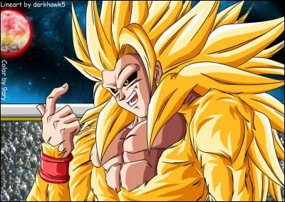 Quel est le nom de ce super Saiyan ?