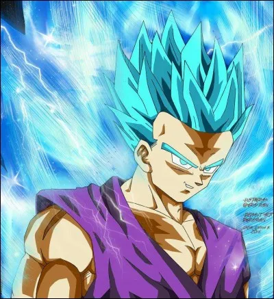 Quel est le nom de ce super Saiyan ?
