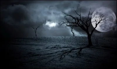 Qui chantait "Chaque nuit qui vous semble à chaque nuit semblable, pendant que vous rêvez vos rêves raisonnables,de plaisir et d'amour ils se rendent coupables, Madame, au creux du même lit" ?