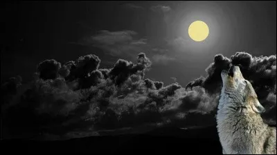 A qui pensez-vous, en écoutant "Un peu renard, un peu loup, il dort le jour ou bien la nuit, ce qu'on dit de lui il s'en fout" ?