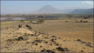 Comment s'appelle l'ensemble géologique qui traverse le pays du nord au sud ?