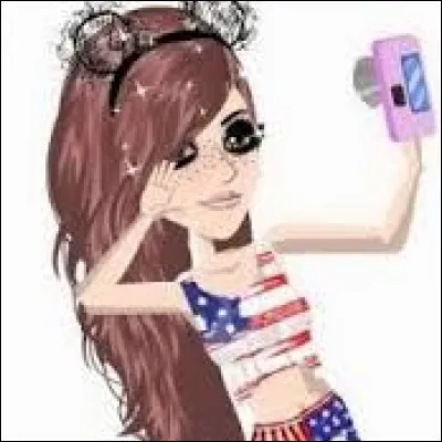 Peut-on mettre des photos sur MSP ?