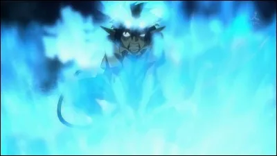 Que font les flammes de Rin ?