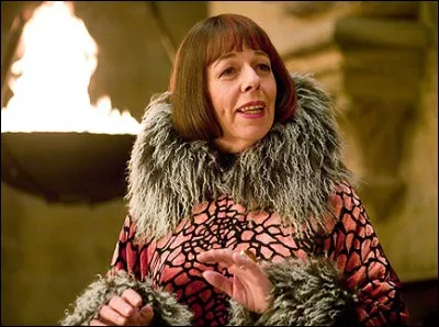 Dans le film "Harry Potter et la Coupe de feu", Madame Maxime dit à Hagrid que ses chevaux ne boivent qu'une seule chose. De quoi s'agit-il ?