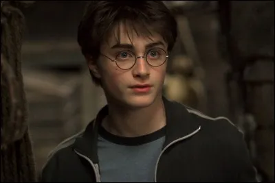 Dans le film "Harry Potter et le Prisonnier d'Azkaban", qu'est-ce qui détruit le Nimbus 2000 de Harry ?