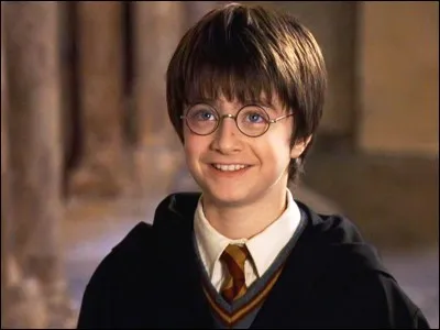 Dans le film "Harry Potter à l'école des sorciers", qui accompagne Harry chez Ollivander ?